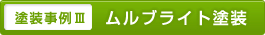 ムルブライト塗装